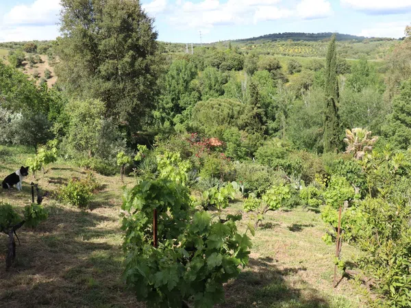 Chalet pareado en carretera Cc-431 s/n - Foto 37