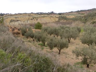 Chalet en  Avenida Valencia 49 - Foto 23