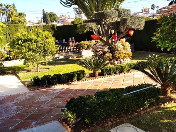 Estudio en retama, Puertosol - Santa Isabel - Foto 1