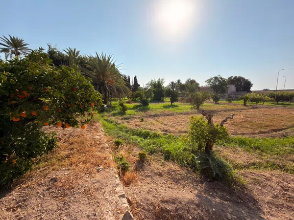 Masía en Masía en El Secanet - Hacienda del Sol, El Secanet - Hacienda del Sol - Foto 23