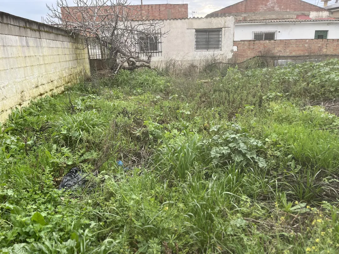 Finca rústica en  Urbanizacion Campiñuela Baja 6 - Foto 18