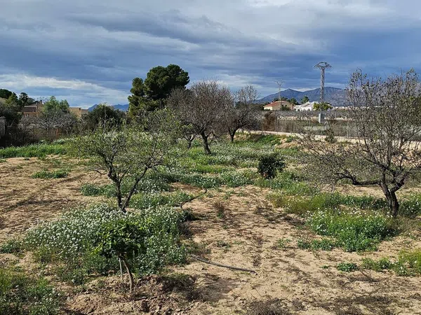 Casa independiente en vereda de Santa Teresa, 6 - Foto 14