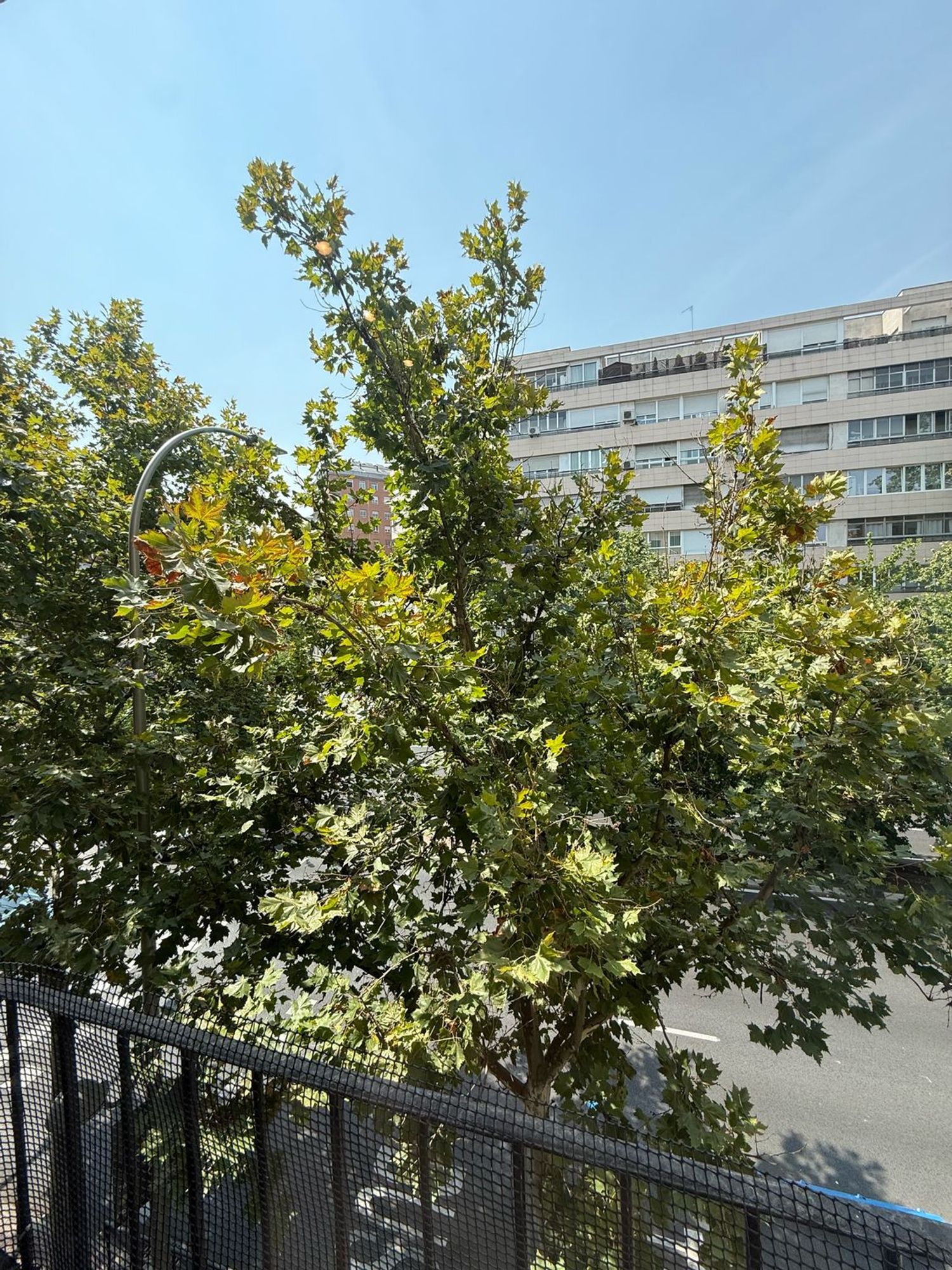 Piso en calle de Francisco Silvela, 56 - Foto 14