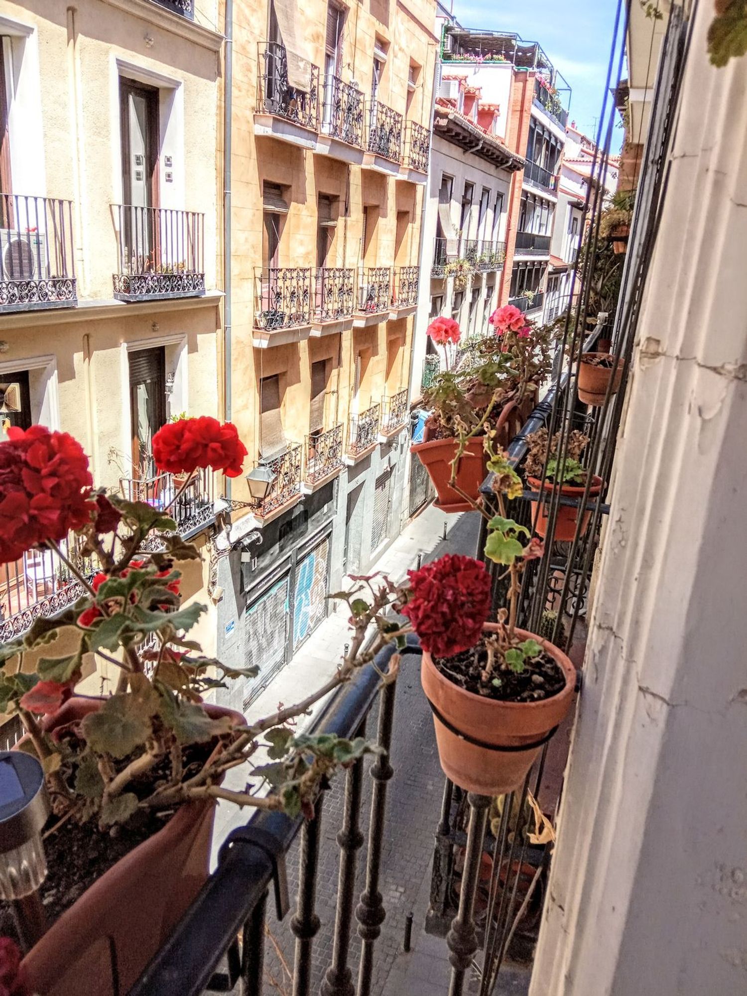 Piso en calle de las Dos Hermanas, 19 - Foto 3