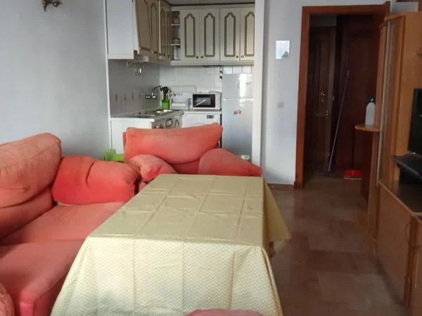 Piso en Calle General Muñoz Arenillas, 2, Playa Victoria - Paseo Marítimo, Playa Victoria - Paseo Marítimo - Foto 9