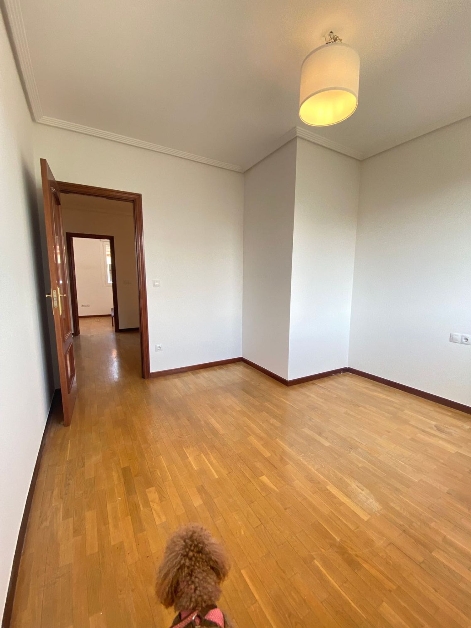 Chalet adosado en Calle Río Ugalde, 26, Lakua - Foto 17