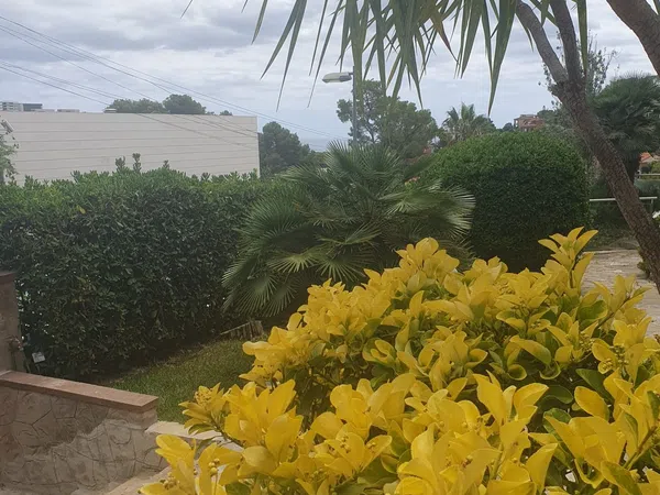 Piso en Avenida 326, 19 -25, Montmar, Montmar - Foto 13