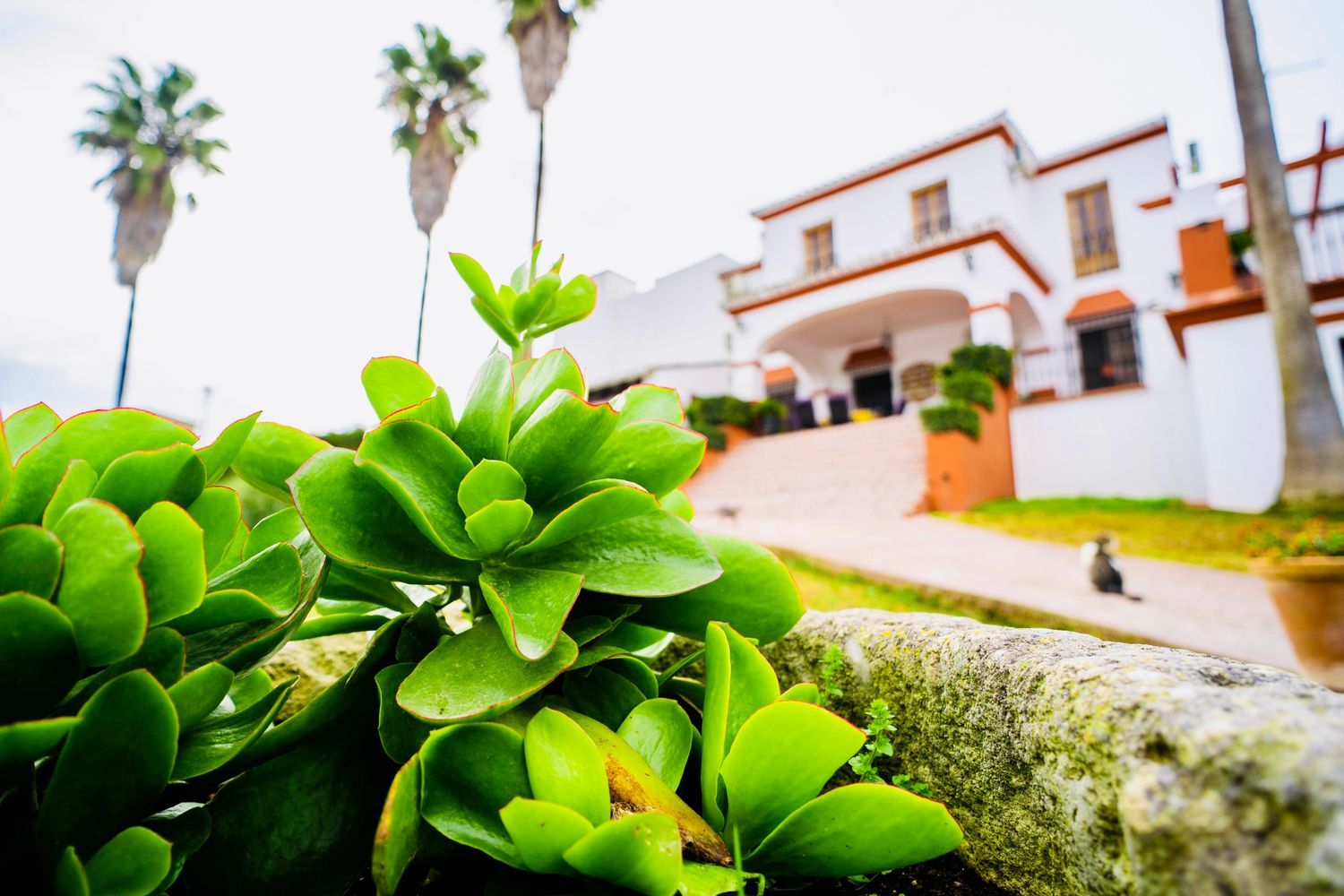 Casa rural en (36.8522990, -5.6169789) s/n - Foto 22