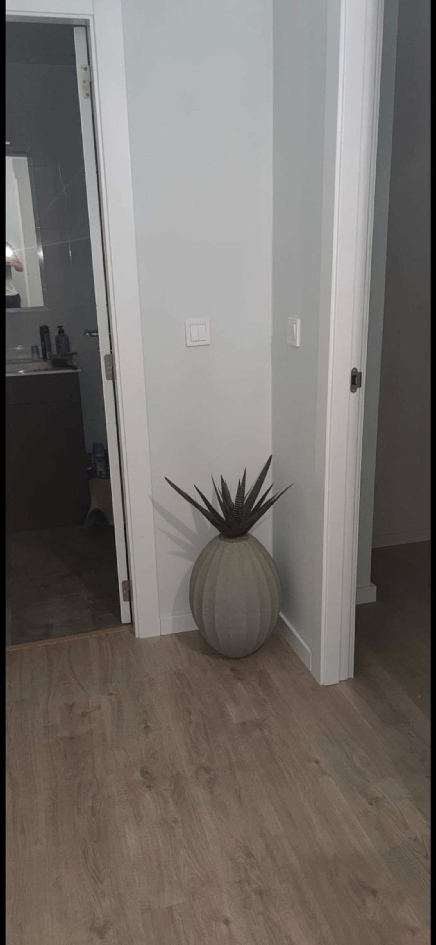 Estudio en calle del Poeta Josep Cervera i Grífol, 7 - Foto 4