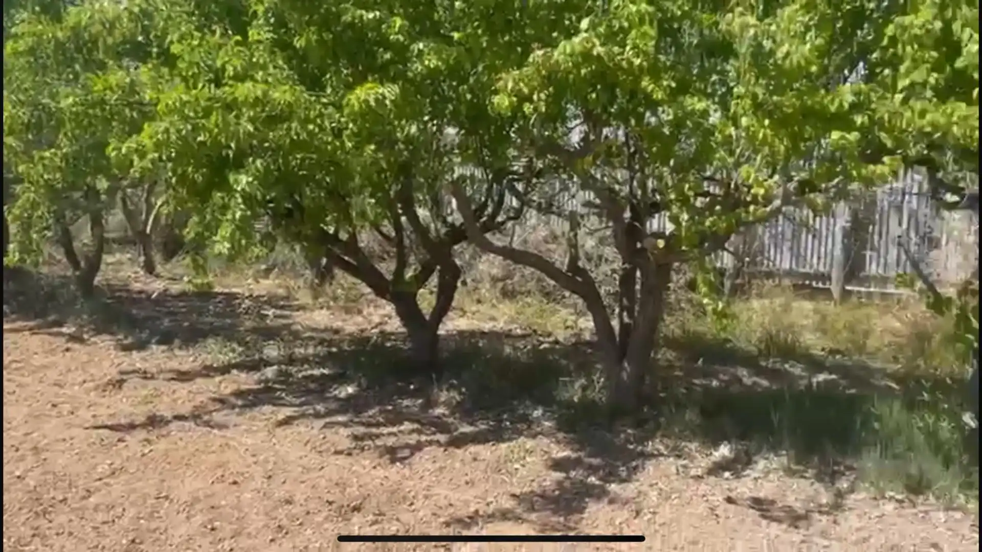 Finca rústica en  Calle de Alfocea 20 - Foto 3