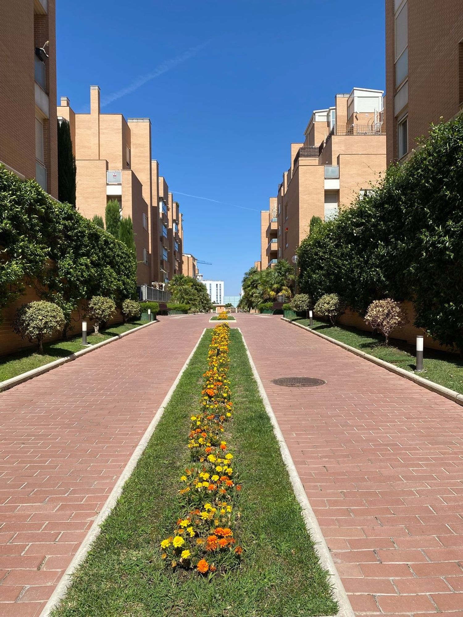 Ático en Avenida de la Ermita, 2, Arroyo de la Vega, Arroyo de la Vega - Foto 17