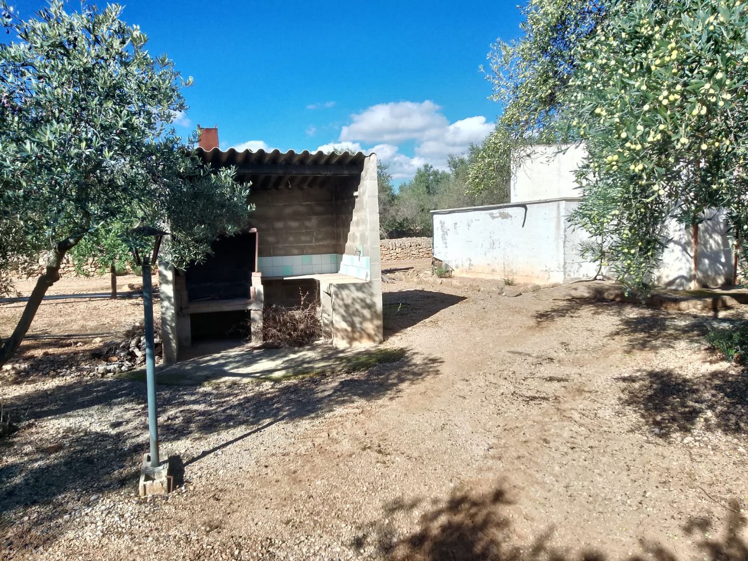 Casa o chalet independiente en Camino de Mossèn Vicent, 29 - Foto 12