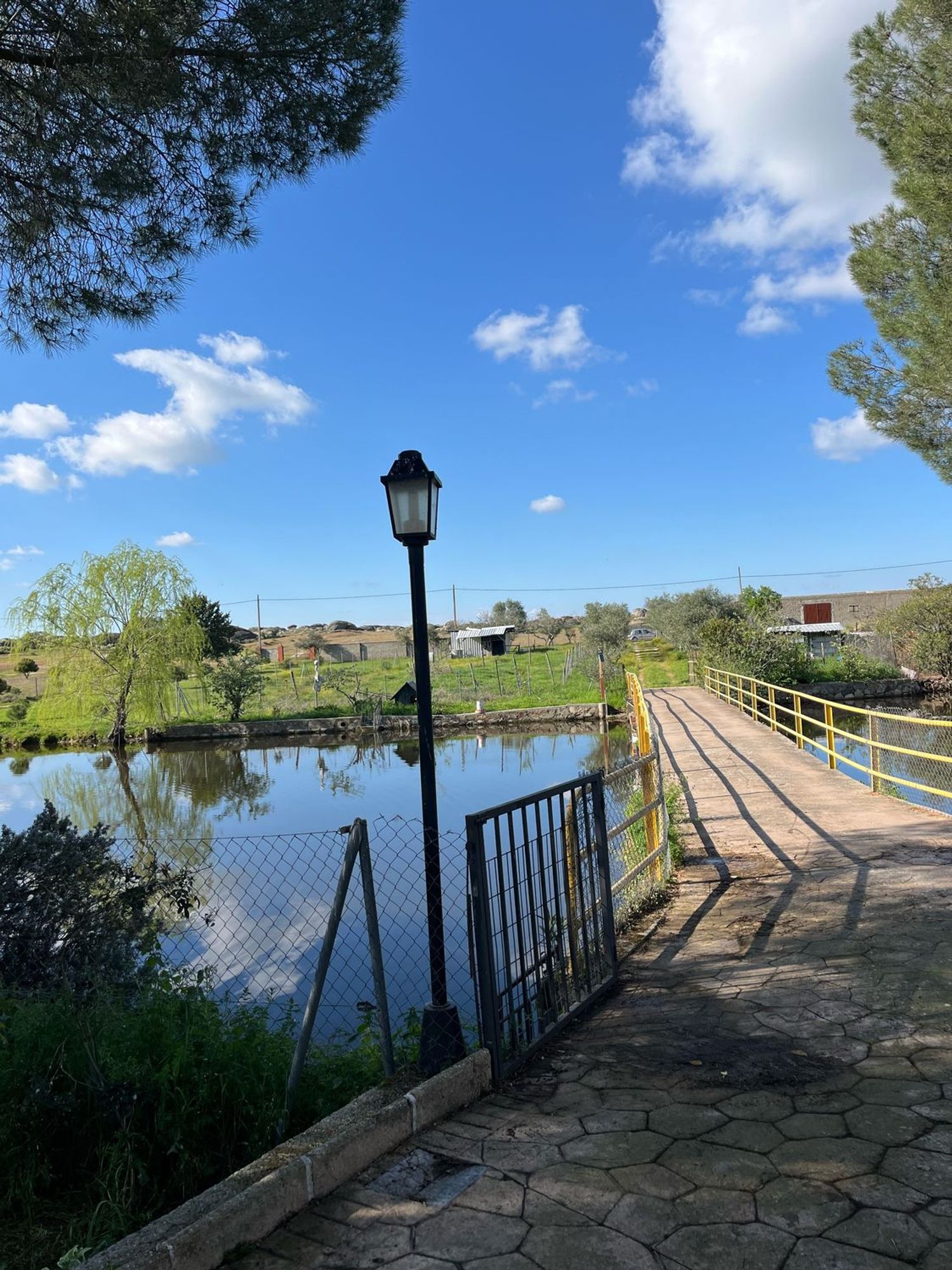 Finca rústica en N-521, 134 - Foto 4