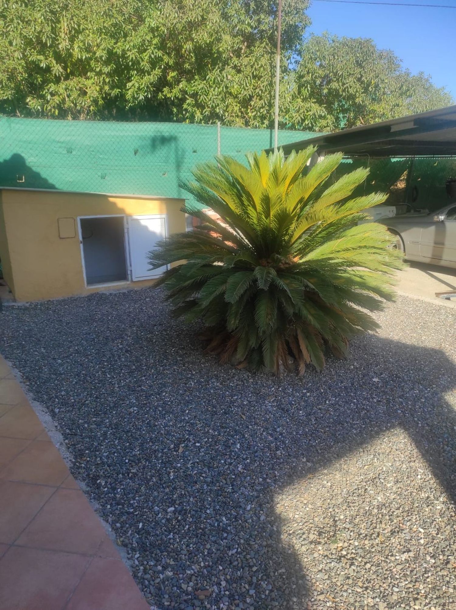 Finca rústica en Villa del Guadalhorce, 1, Villafranco del Guadalhorce, Villafranco del Guadalhorce - Foto 16