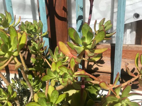 Casa de pueblo en Trillo, 7 - Foto 2