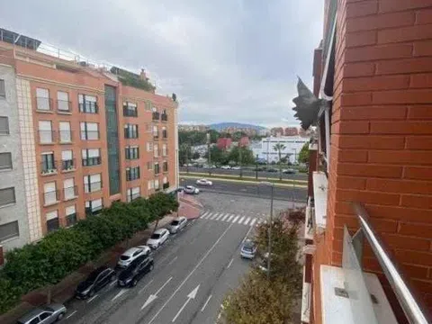 Piso en avenida Juan Carlos I, 74