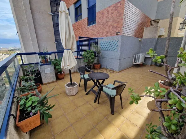 Dúplex en Calle de Rafael Lapesa Melgar Gramatic i Lingüista - Foto 12