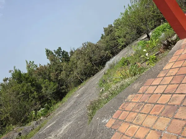 Finca rústica en Camino Cueva del Negro, 25 - Foto 6