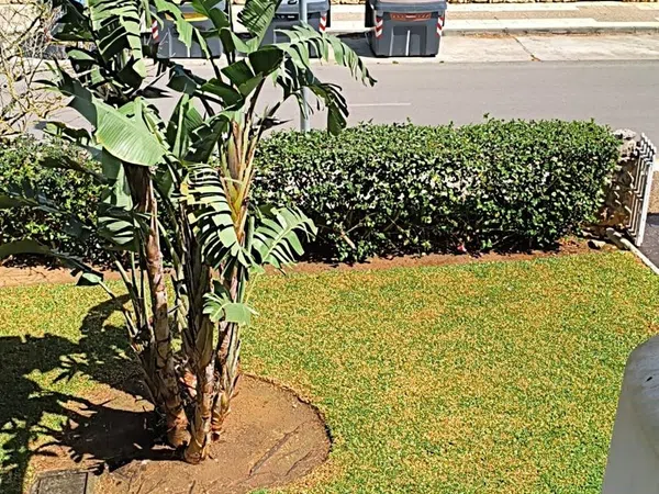 Piso en Avenida de las Quintas, 4, La Barrosa - Foto 17