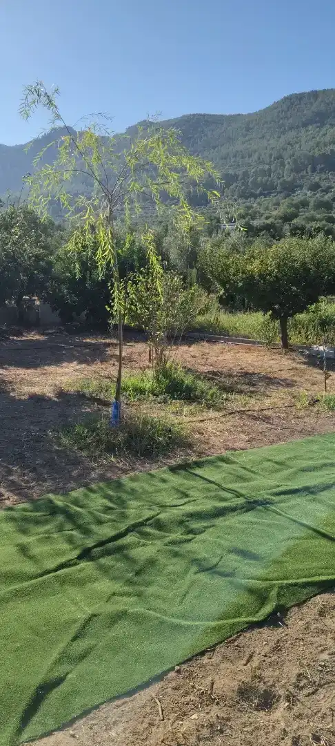 Finca rústica en - Foto 10