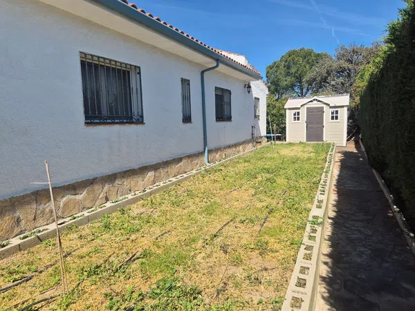 Casa o chalet independiente en Urbanización Lago del Jaral, 245 - Foto 24