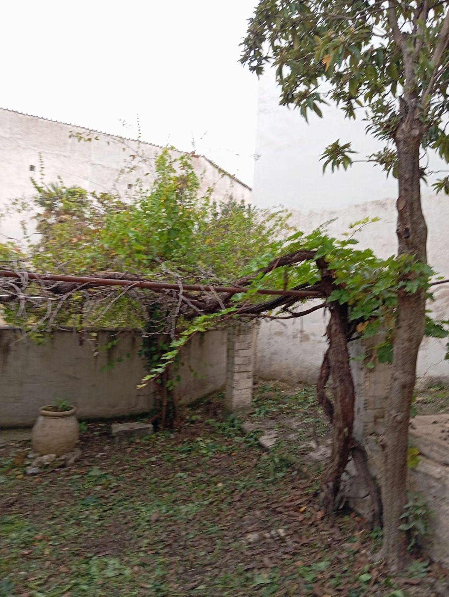 Casa de pueblo en Calle Mariano Foronda, 20 - Foto 8