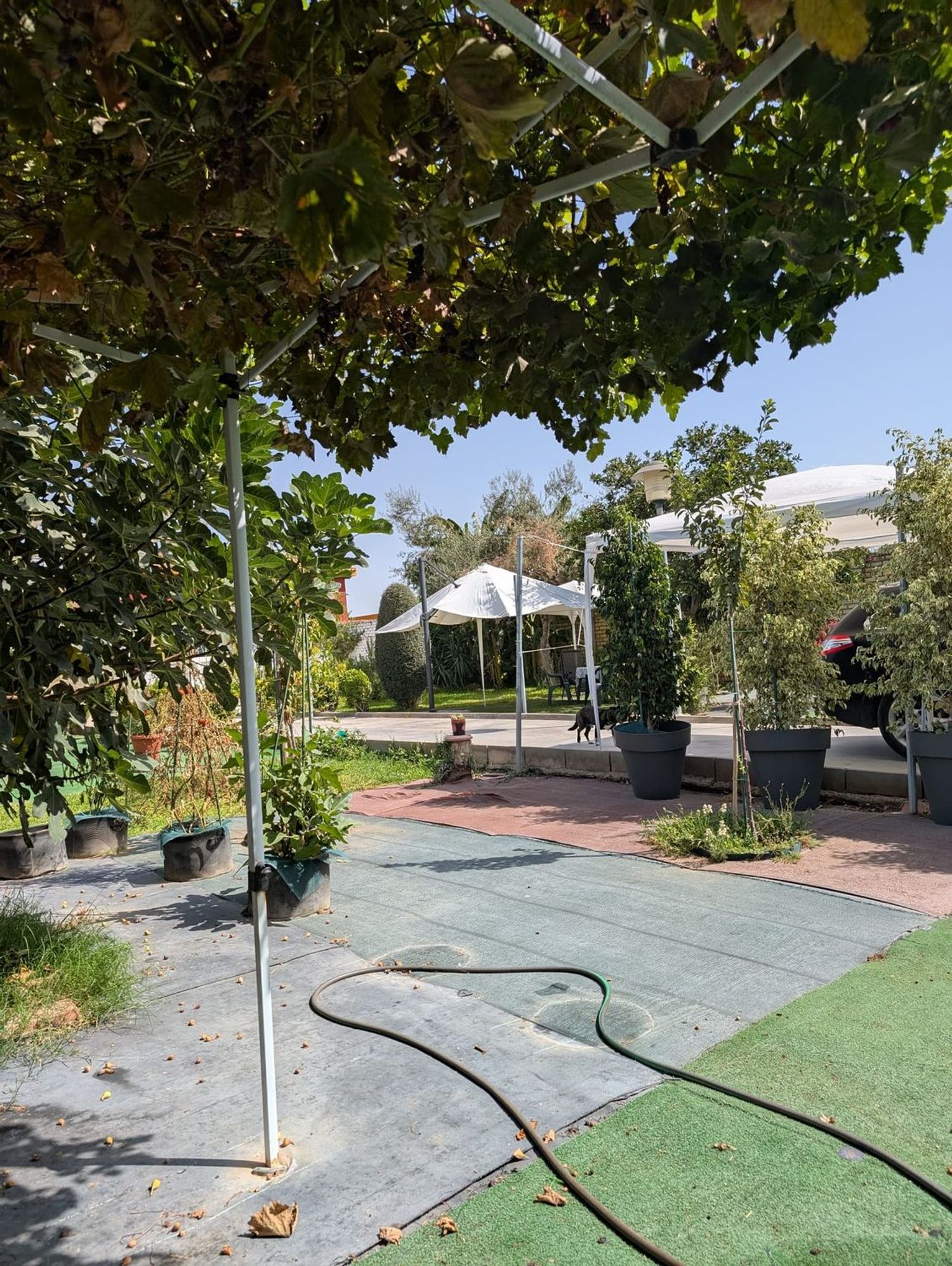 Casa o chalet independiente en Urb. Las Luisas, 30, La Hacienda - Nueva Andalucía, La Hacienda - Nueva Andalucía - Foto 6