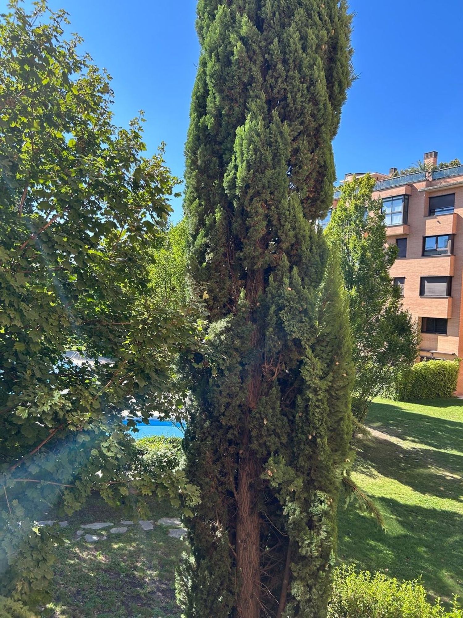 Piso en Avenida Monasterio de Silos, 82, Montecarmelo - Foto 3