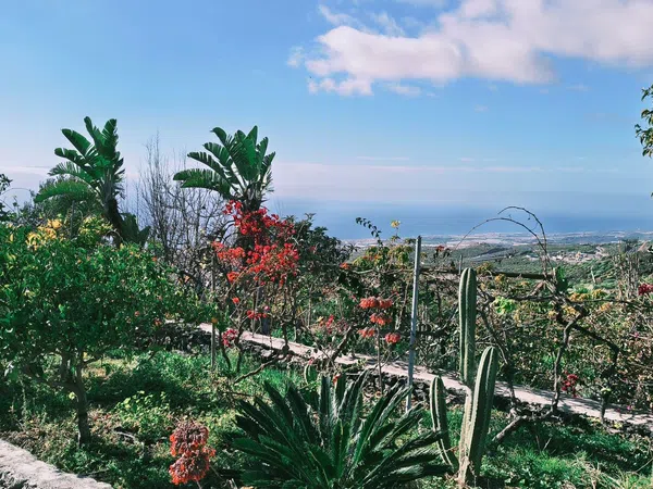 Estudio en Tf-82, 10 - Foto 8