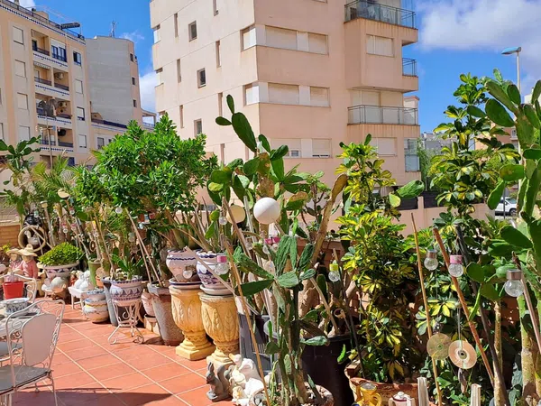 Piso en Calle Riu Segura, 18, Zona Pueblo, Zona Pueblo - Foto 17