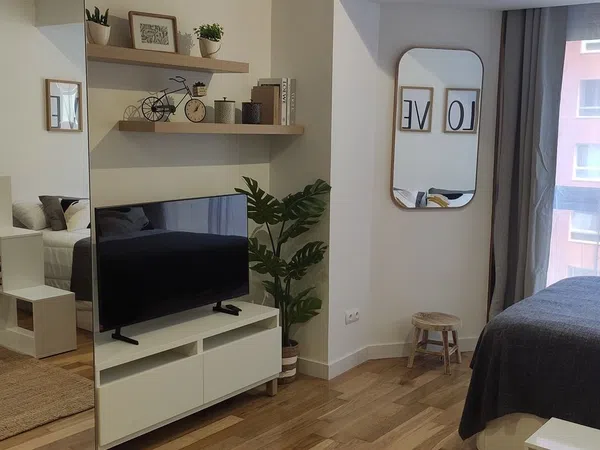 Estudio en Calle de García Barbón, 75 - Foto 5