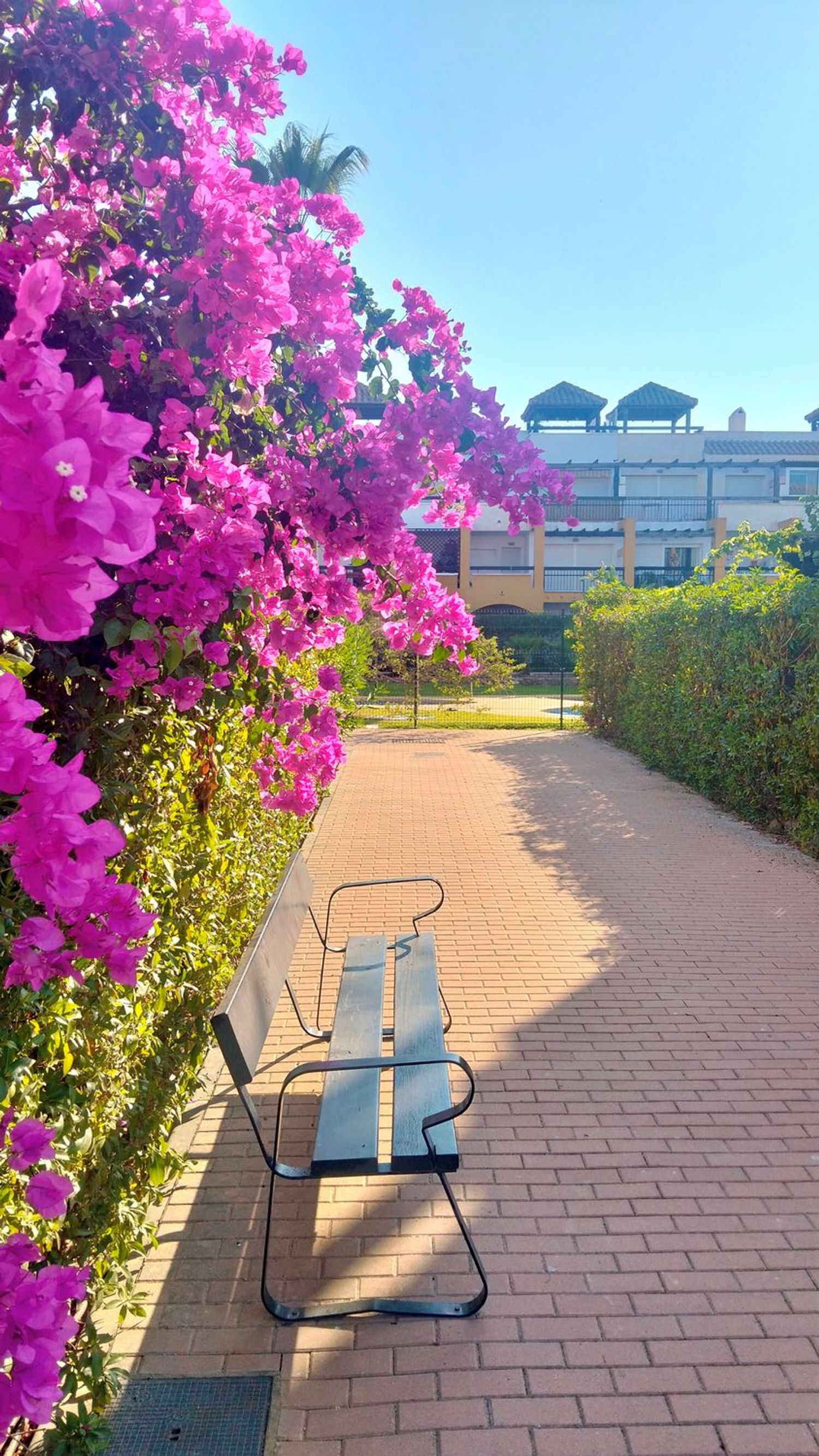 Piso en Avenida Alhambra, 1, Lomas del Mar, Lomas del Mar - Foto 17