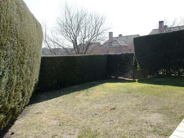 Casa independiente en Barrio El Cantizal - Foto 9