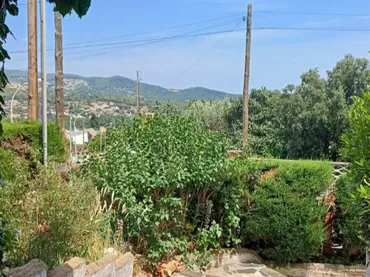 Chalet en calle Besòs 9 - Foto 1