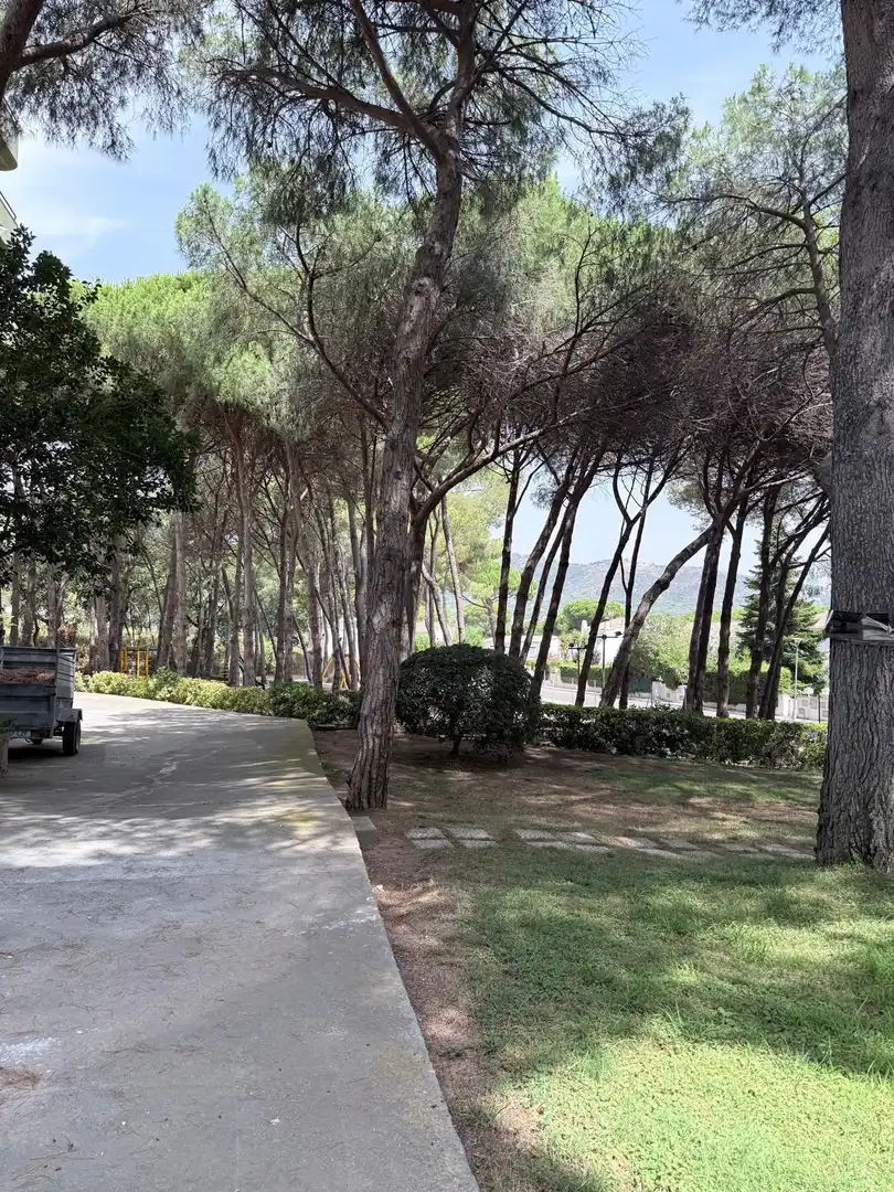 Estudio en  Carrer Girasol 4 - Foto 16