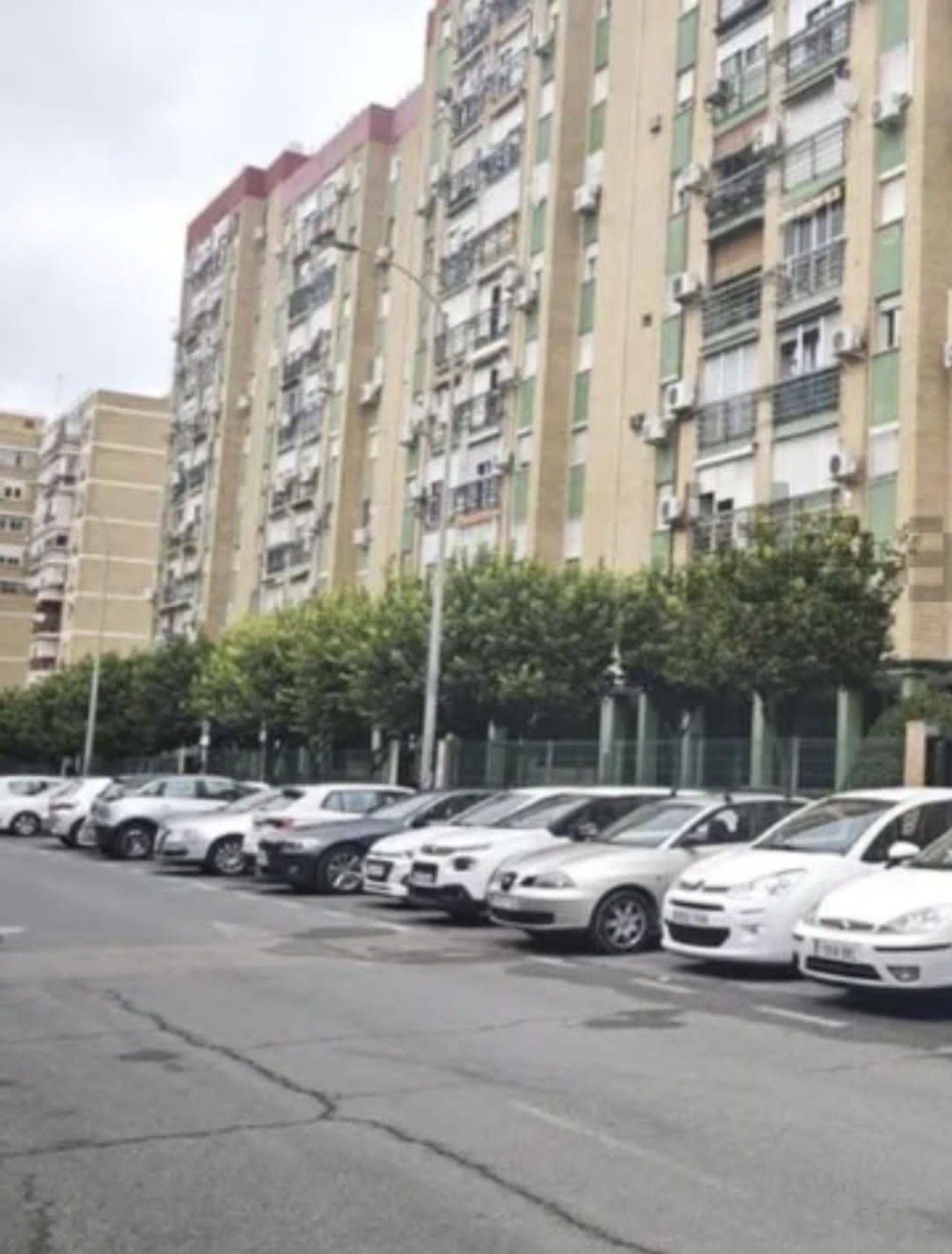 Piso en Avenida de la Paz, 55, El Juncal - El Plantinar - Foto 11