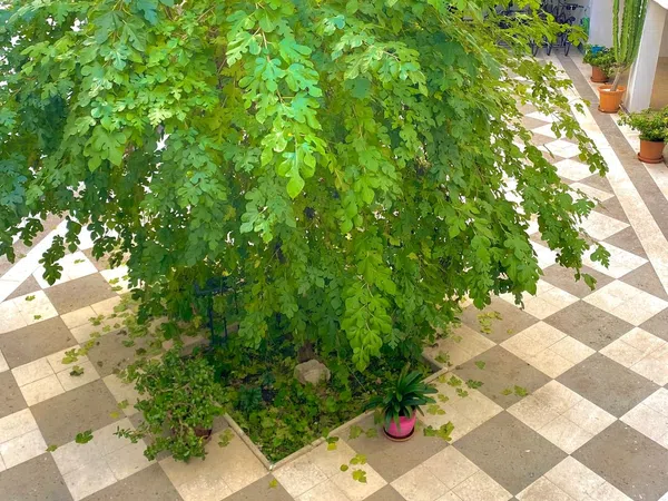 Piso en Santa Lucía, 21 - Foto 11