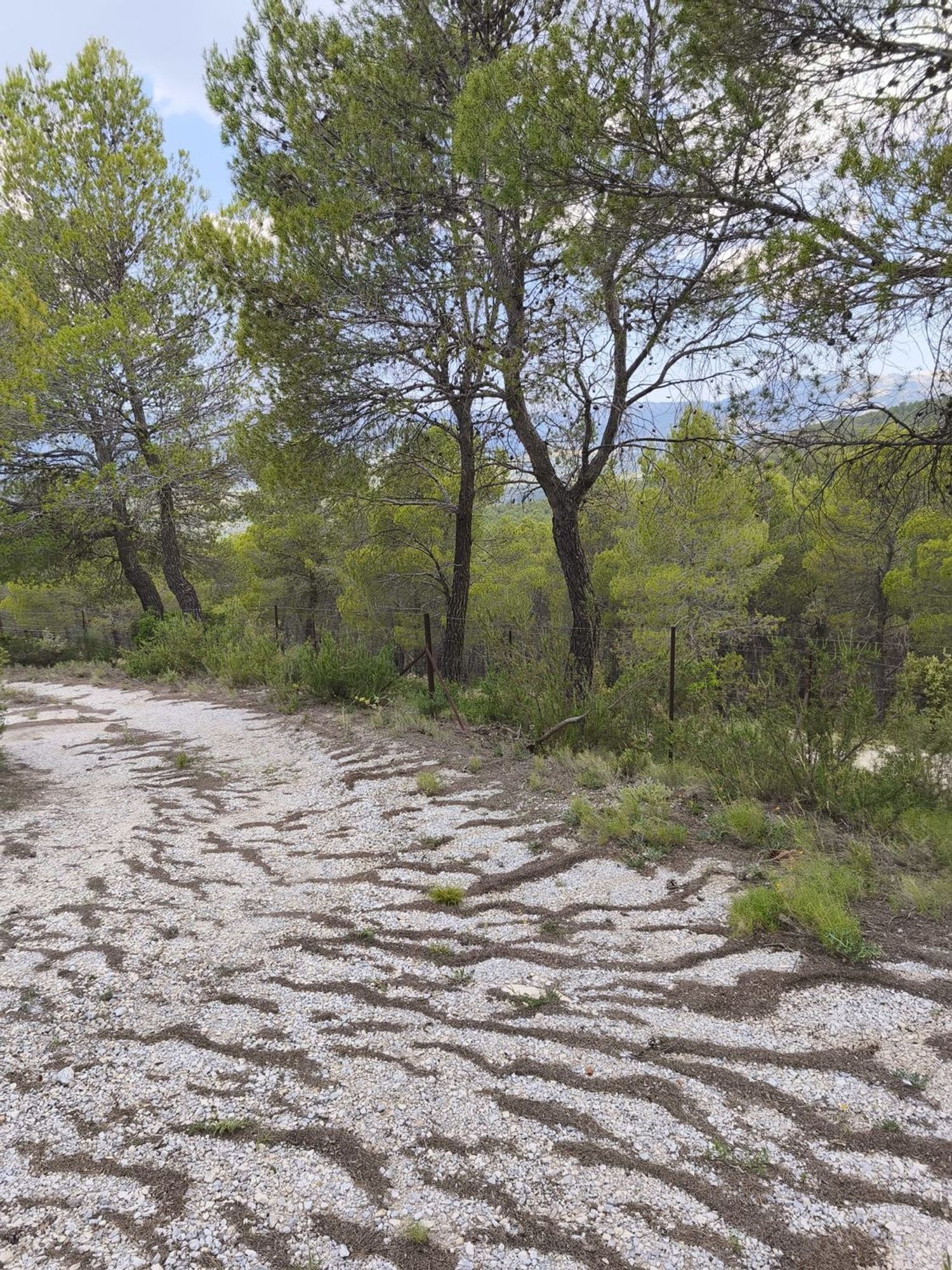 Cortijo en Carretera de la losa s/n - Foto 4
