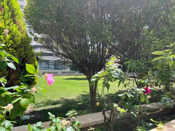 Piso en calle Médico Andrés Boldó, 1 - Foto 18