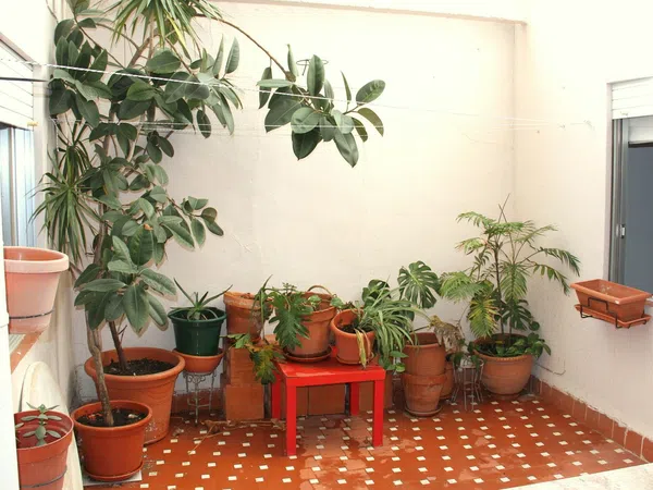 Piso en Calle José Javier, 5, Santa María de Gracia - Foto 15