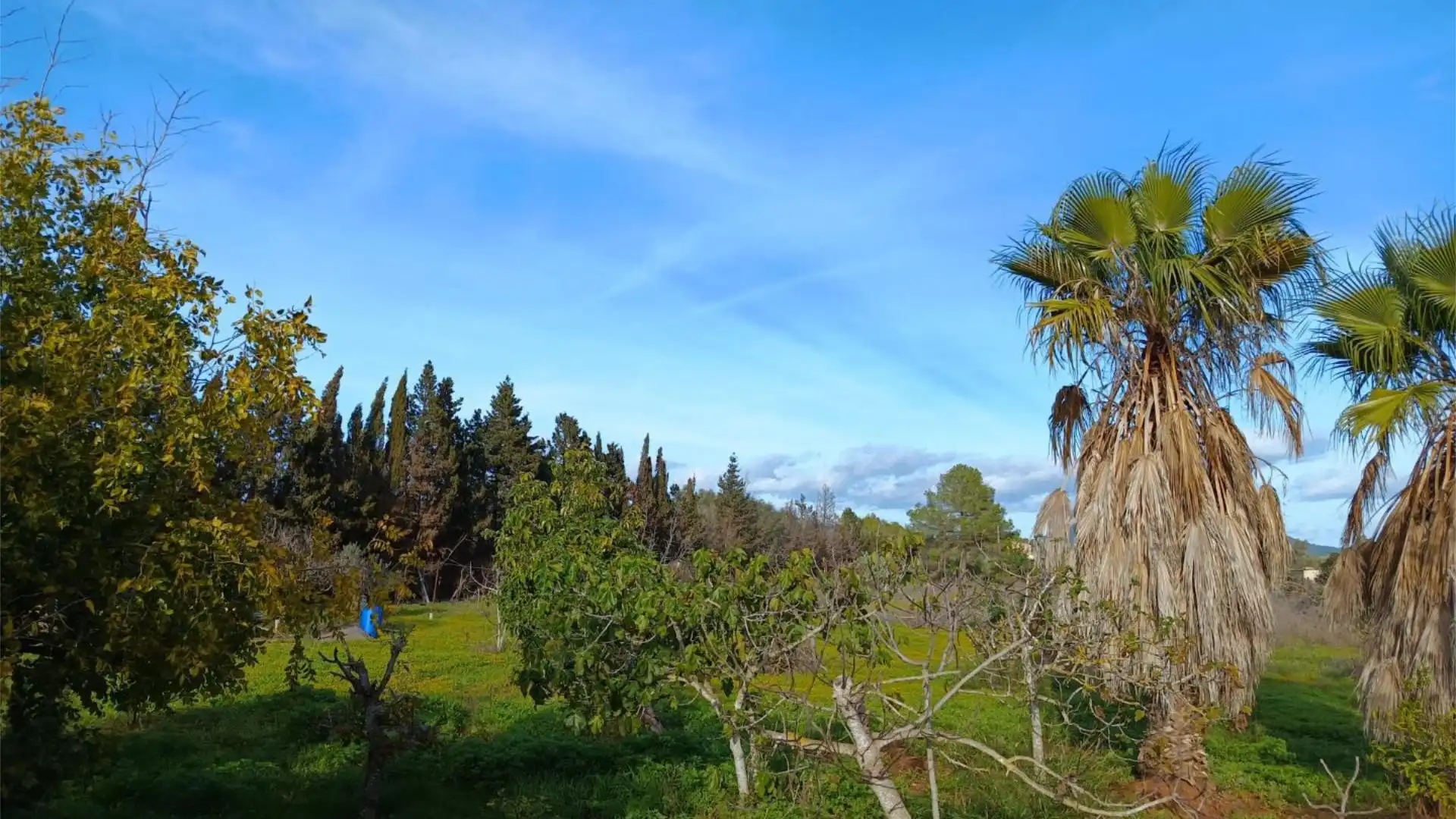 Finca rústica en  Camí Vell de Cala Pi 41 - Foto 11