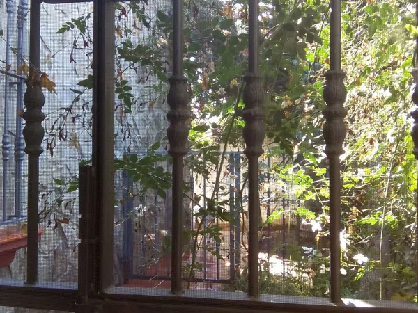 Casa o chalet independiente en Camino de Bahia Florida, 1 b, Pinar de los Franceses - Marquesado, Pinar de los Franceses - Marquesado - Foto 21
