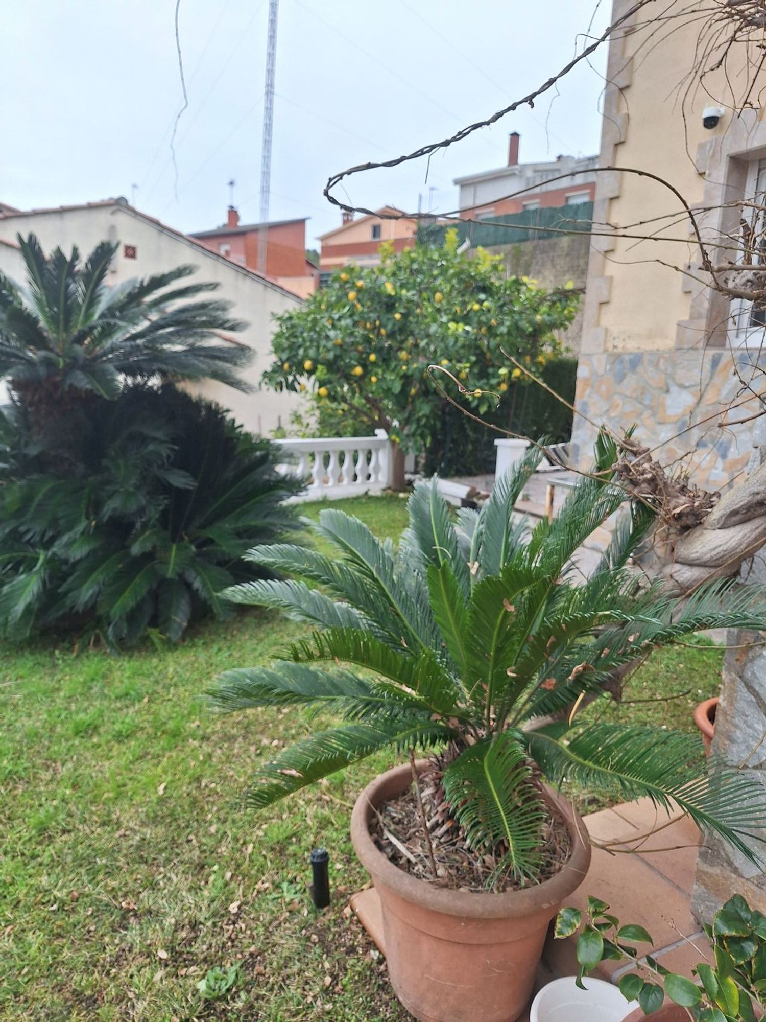 Casa independiente en calle d'Oceania, 93 - Foto 4