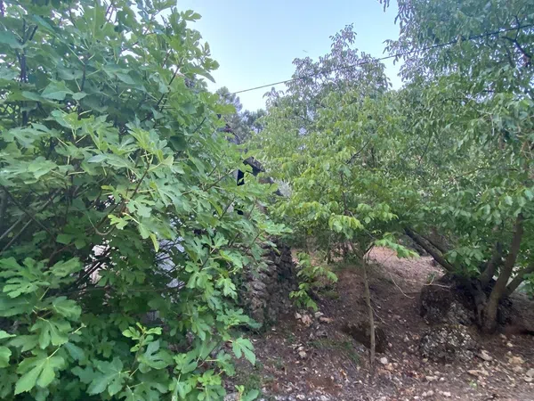 Finca rústica en Sn s/n - Foto 26
