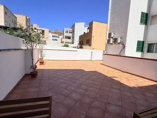Casa o chalet independiente en Calle Gabriel Font i Martorell, 39, Son Cotoner - Foto 40
