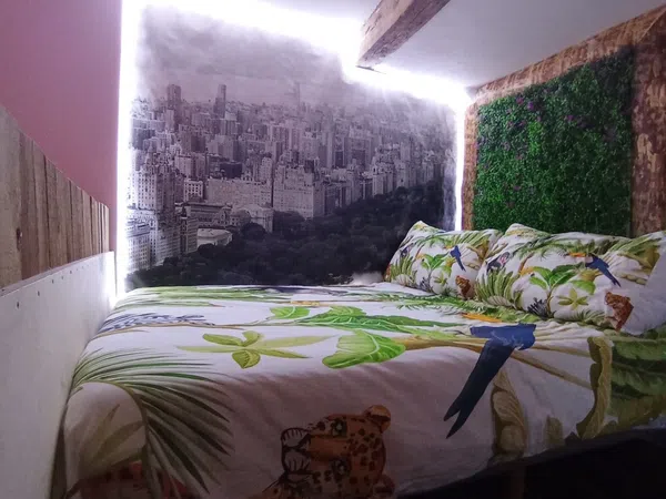 Estudio en calle de San Carlos, 13