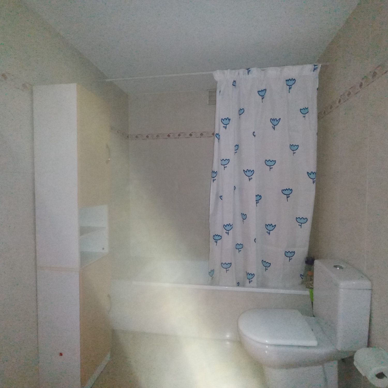 Piso en Calle Faustino Santalices, 17, Couto, Couto - Foto 28