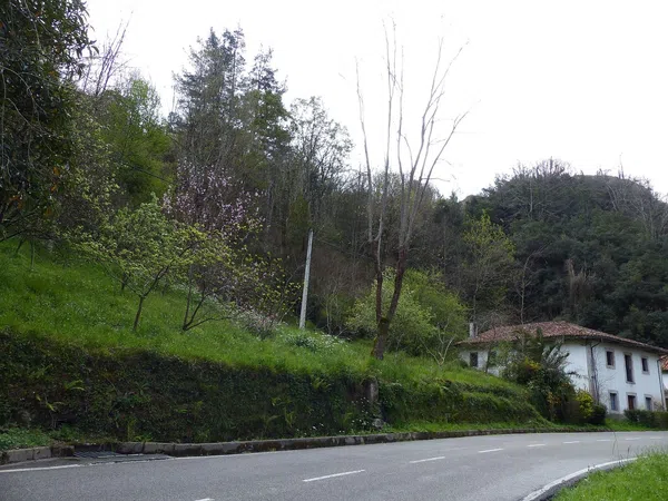 Casa de pueblo en Lugar Vega Pervis, 101 - Foto 4