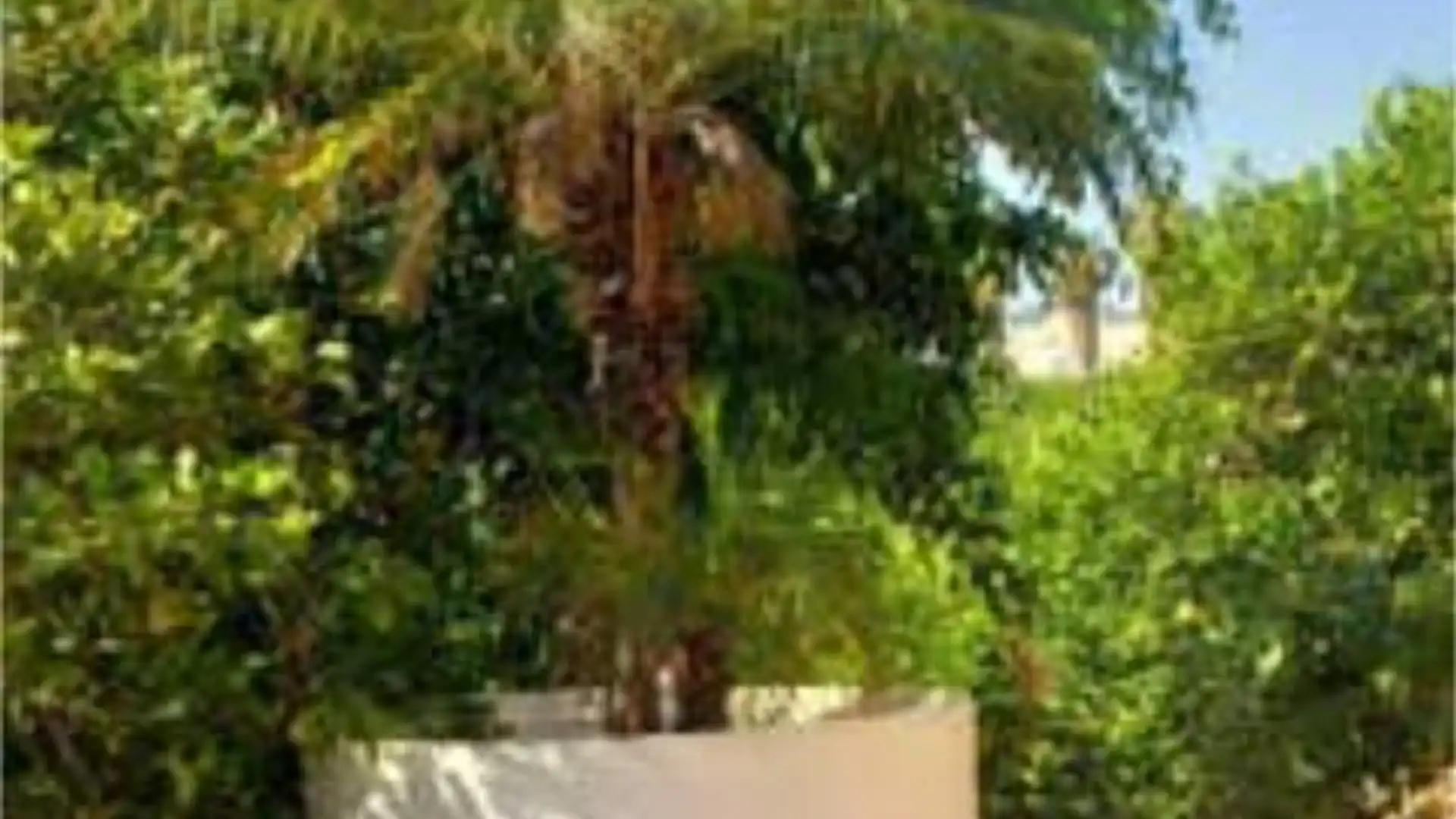 Chalet en Beniaján - Foto 9