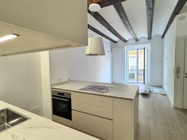 Estudio en El Botànic - Foto 10